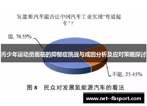 青少年运动员面临的抑郁症挑战与成因分析及应对策略探讨